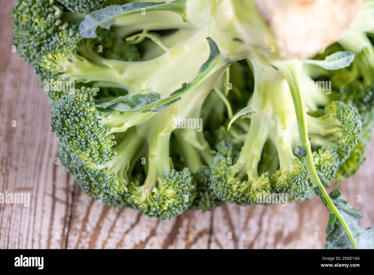 primo piano di mazzo di broccoli fresco e maturo Foto Stock