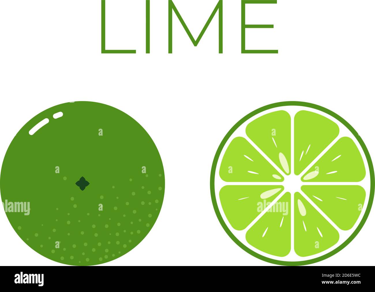 Vettore di lime e metà di lime affettate su bianco sfondo Illustrazione Vettoriale