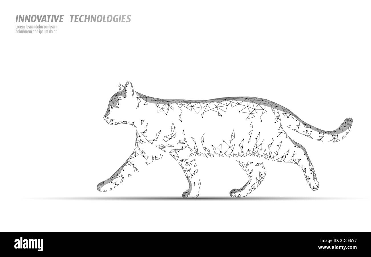 Modello di banner per clinica veterinaria silhouette Cat. Gatto nero personaggio Halloween spooky scuro felino. Vet cura assistenza medica. Vet medico ospedale online Illustrazione Vettoriale