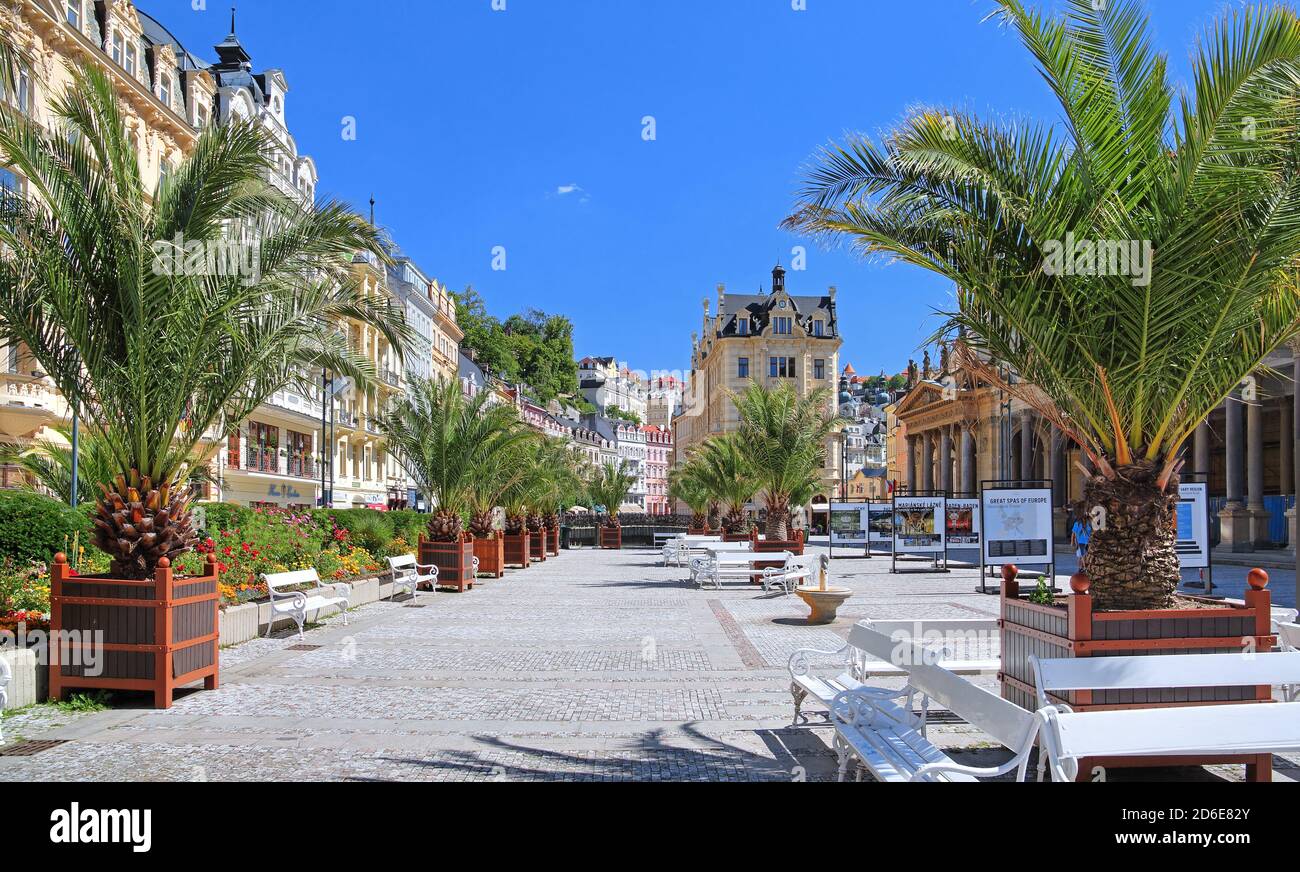 Terrazza di palme presso il Mühlbrunnkolonade, Karlsbad, triangolo termale, Boemia, Repubblica Ceca Foto Stock