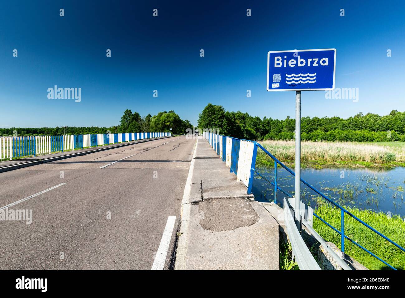 Europa, Polonia, Podlaskie Voivodato, Biebrza - Lipsk Foto Stock