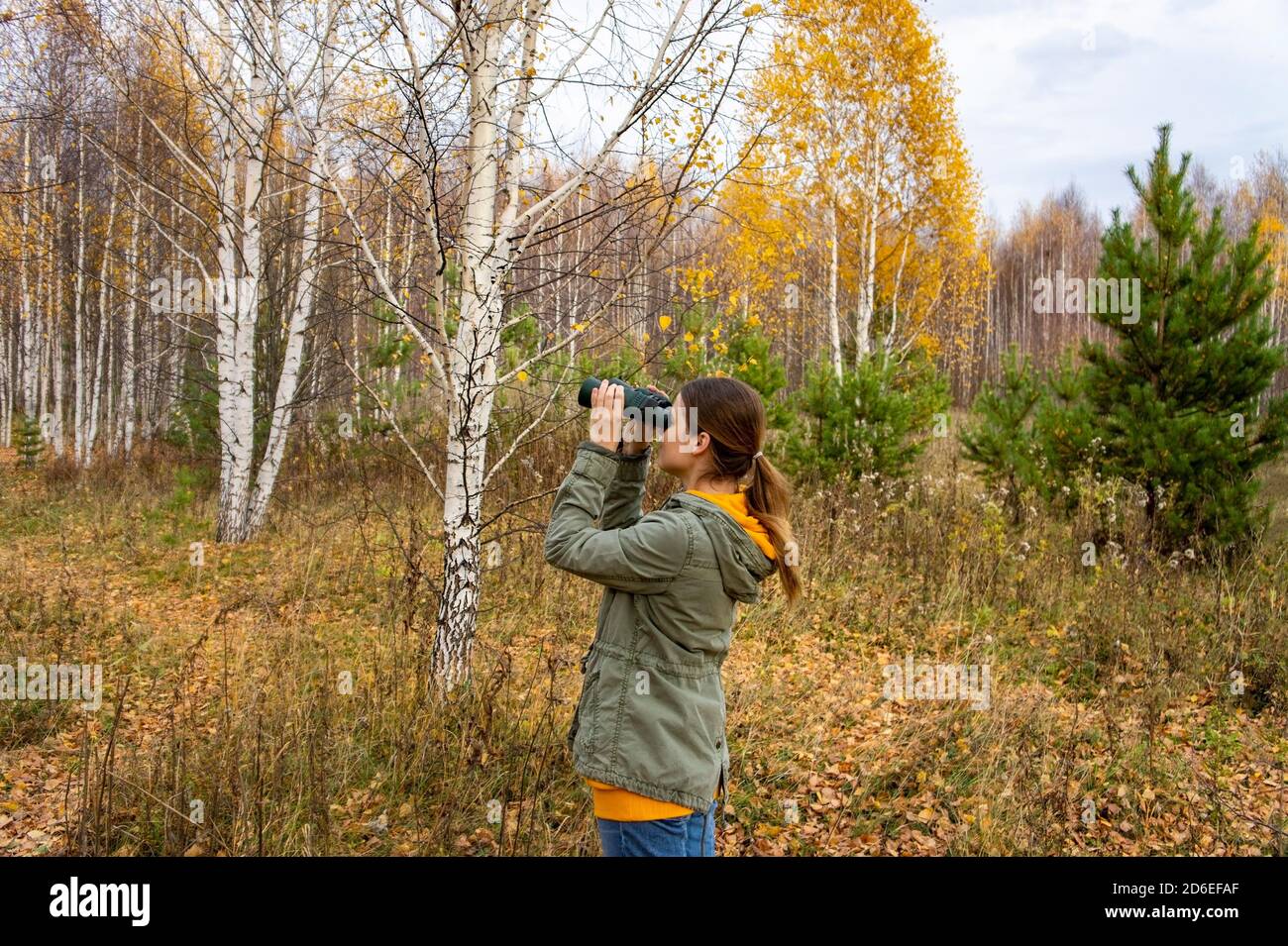 Giovane donna birdwatcher con binocoli nella foresta autunnale. Birdwatching, zoologia, ecologia. Ricerca, osservazione di animali. Ornitologia Foto Stock