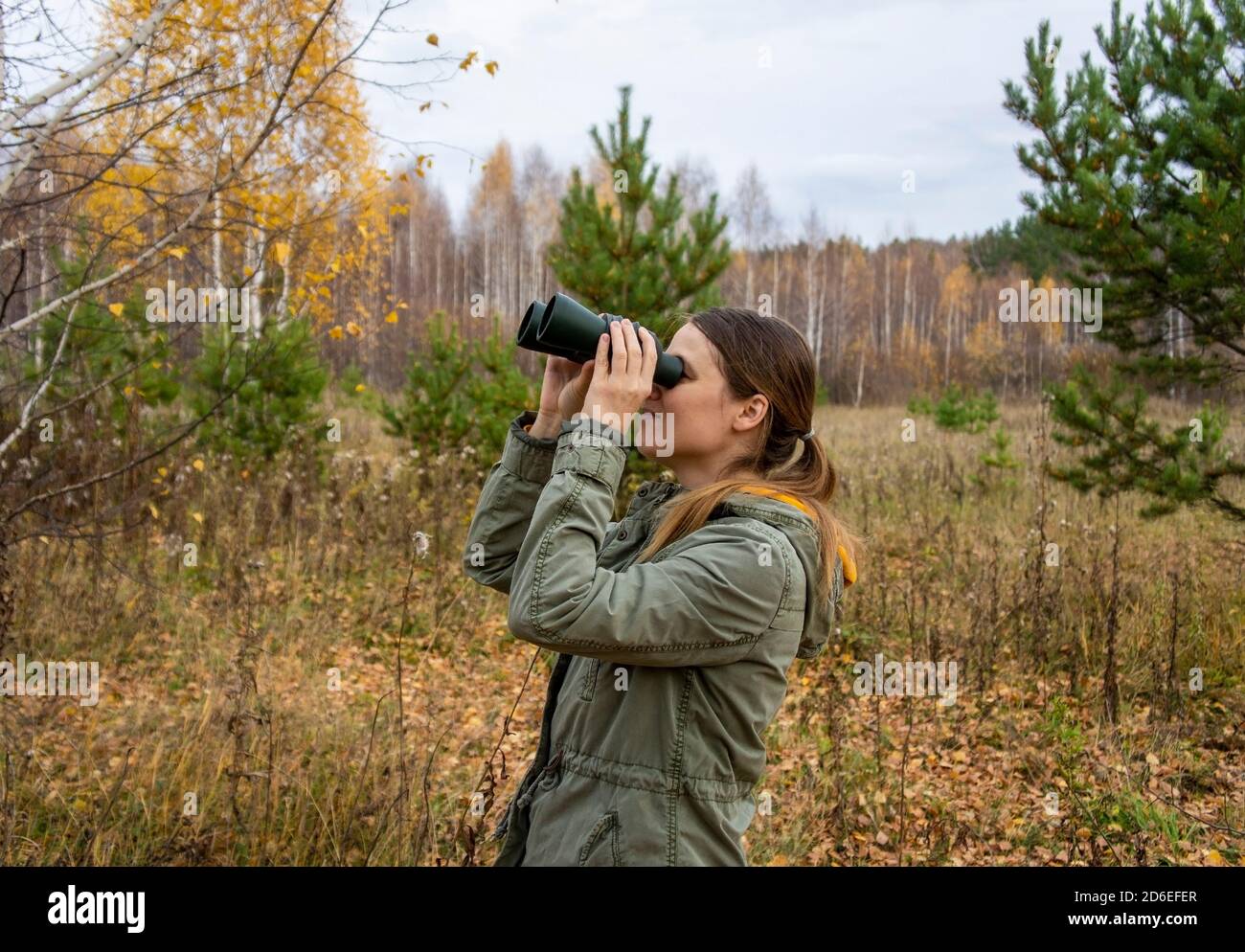 Giovane donna birdwatcher con binocoli nella foresta autunnale. Birdwatching, zoologia, ecologia. Ricerca, osservazione di animali. Ornitologia Foto Stock