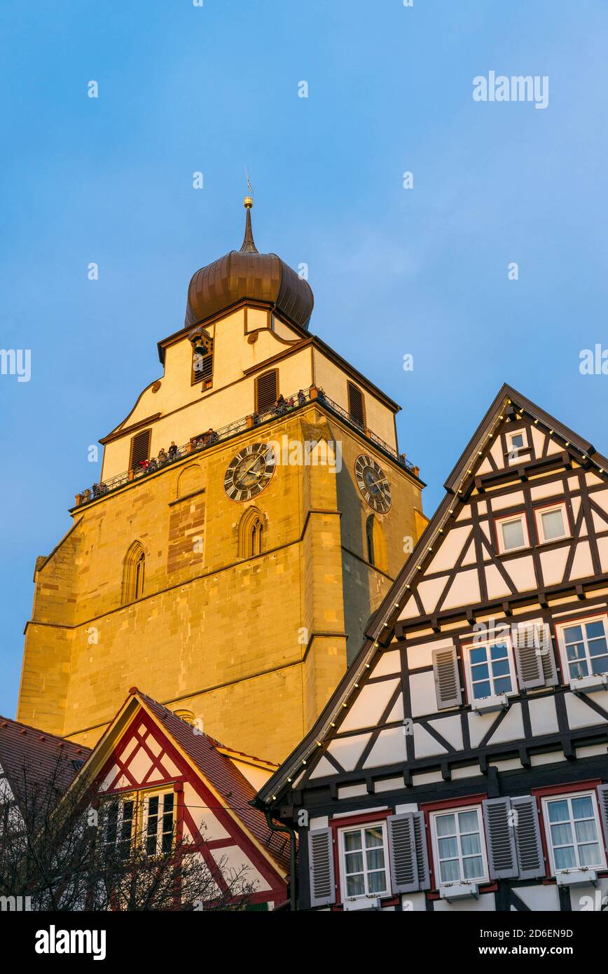 Germania, Baden-Wuerttemberg, Herrenberg, chiesa collegiata di San Marien, torre della chiesa in stile gotico, cupola barocca a cipolla, il simbolo della città nella luce della sera. Foto Stock