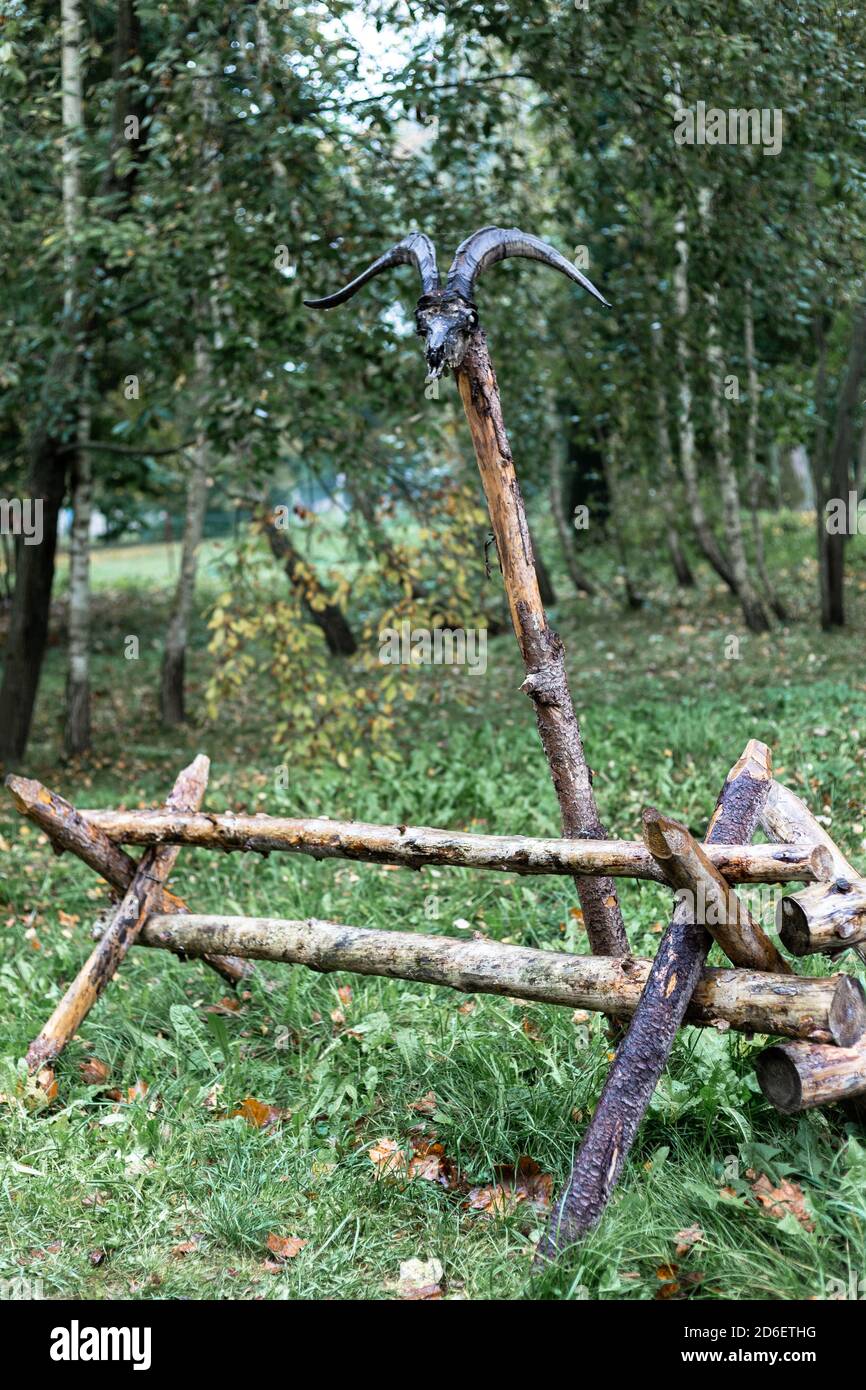 Cranio di capra su un palo di legno Foto Stock