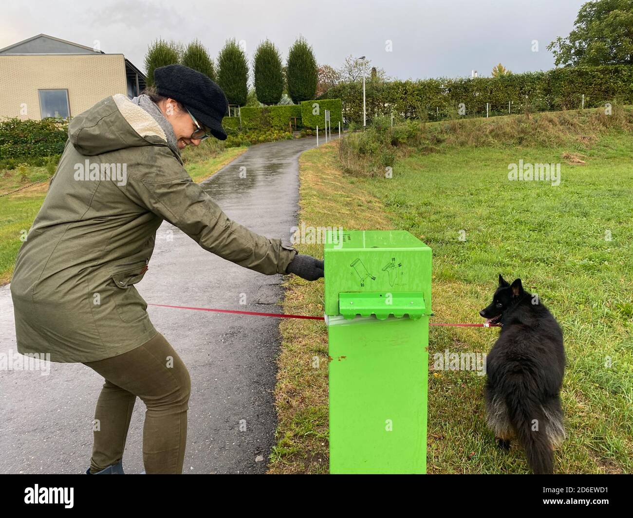 Smaltimento dei sacchetti di poppa del cane in un bidone verde. Dispenser di sacchetti di feci per cani. Evitare la letteratura. Foto Stock