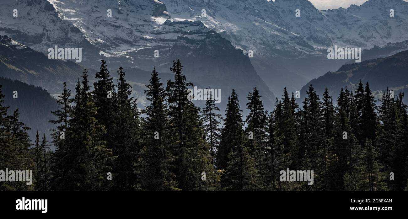 Lo splendido paesaggio delle Alpi svizzere - splendida Svizzera Foto Stock