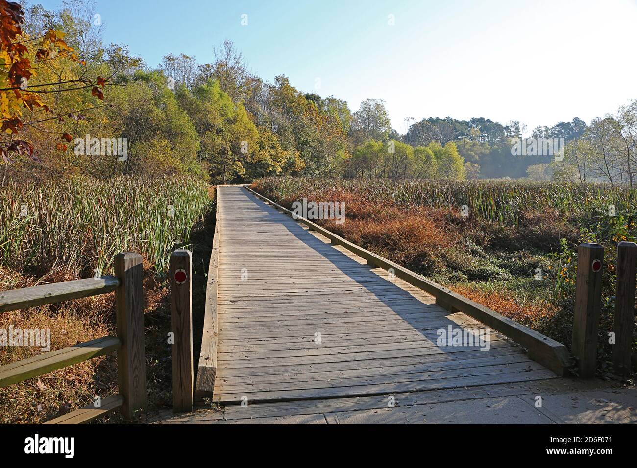 Una passerella attraversa una zona umida con le stalle in autunno. Foto Stock