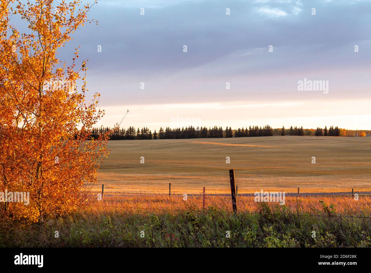 Tramonto autunnale su campo di prateria a Saskatchewan Canada Foto Stock