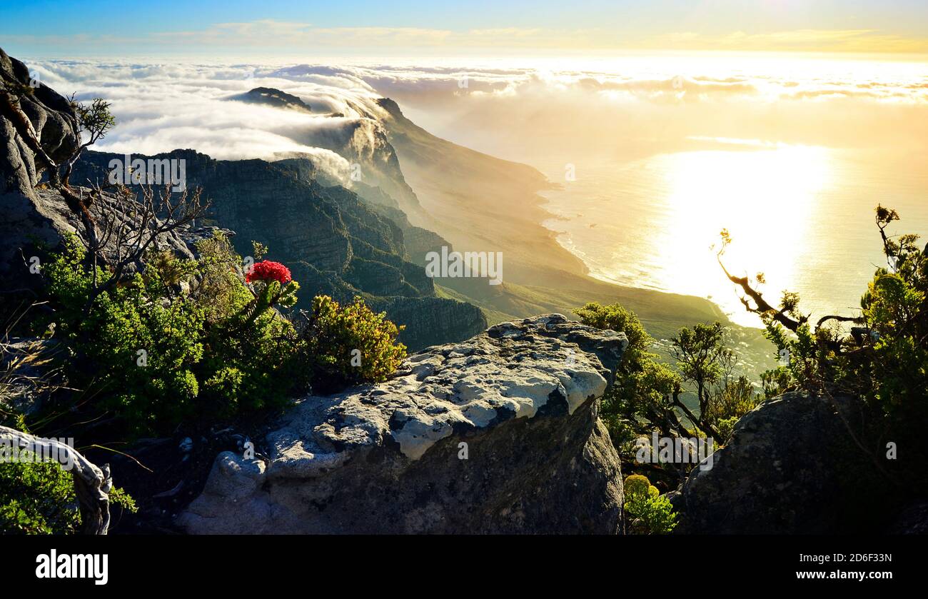 Table montagna coperta di coperta nuvola al tramonto, Città del Capo, Sud Africa Foto Stock