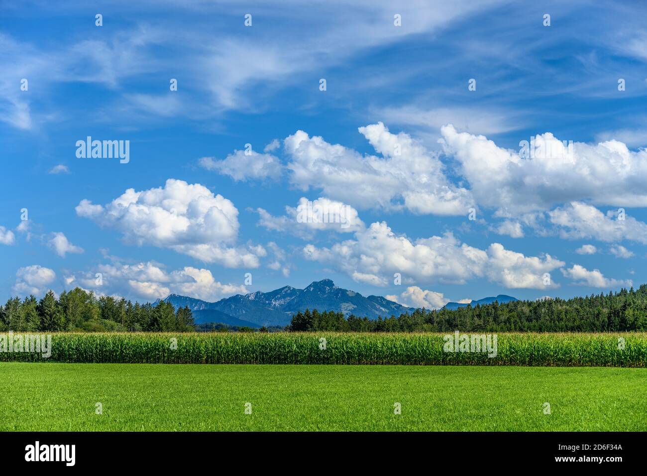 Germania, Baviera, alta Baviera, Oberland, Valle, Orteil Oberdarching, paesaggio culturale contro il massiccio di Wendelstein Foto Stock