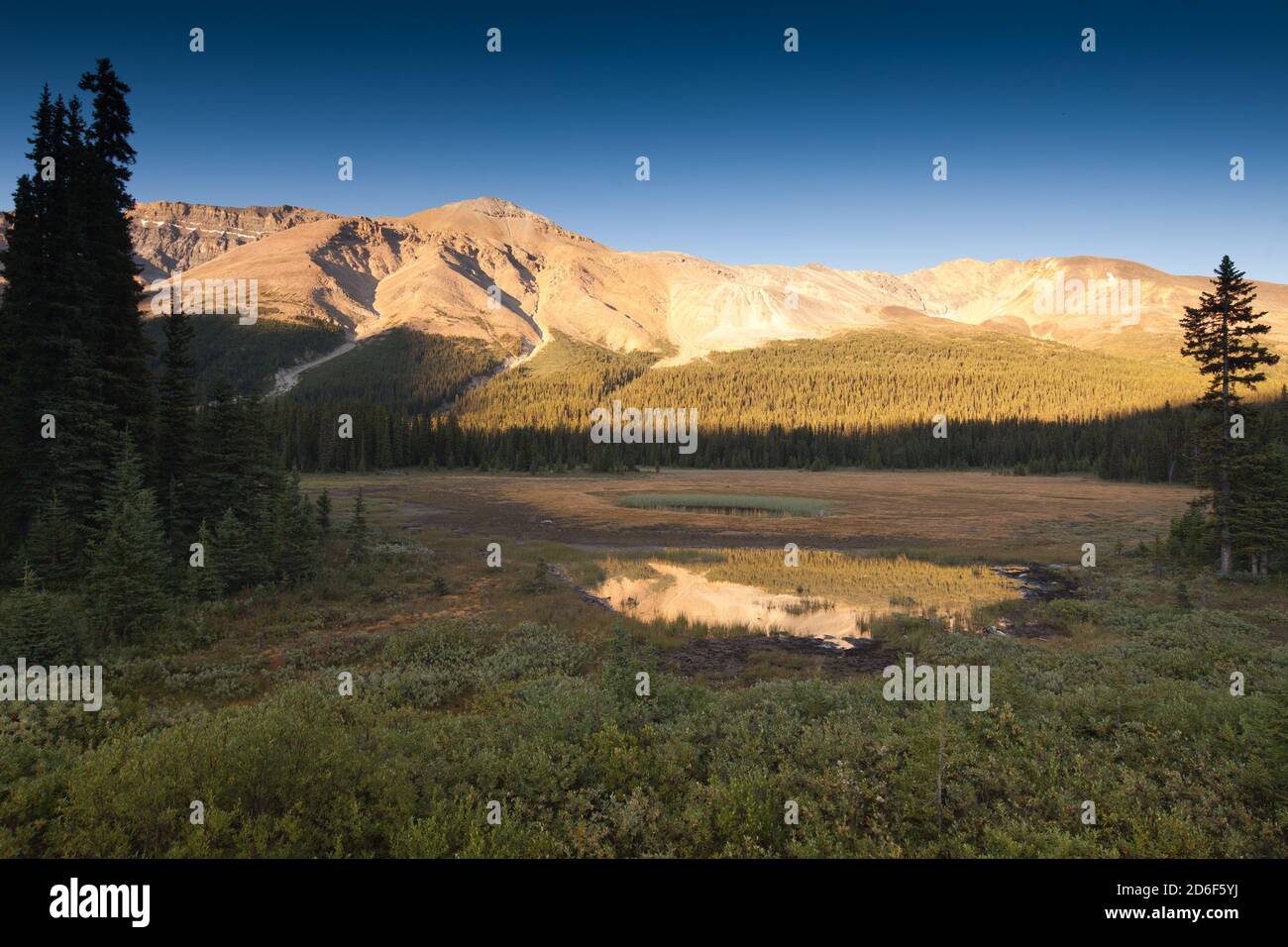 Montagne rocciose del Parco Nazionale di Jasper Foto Stock