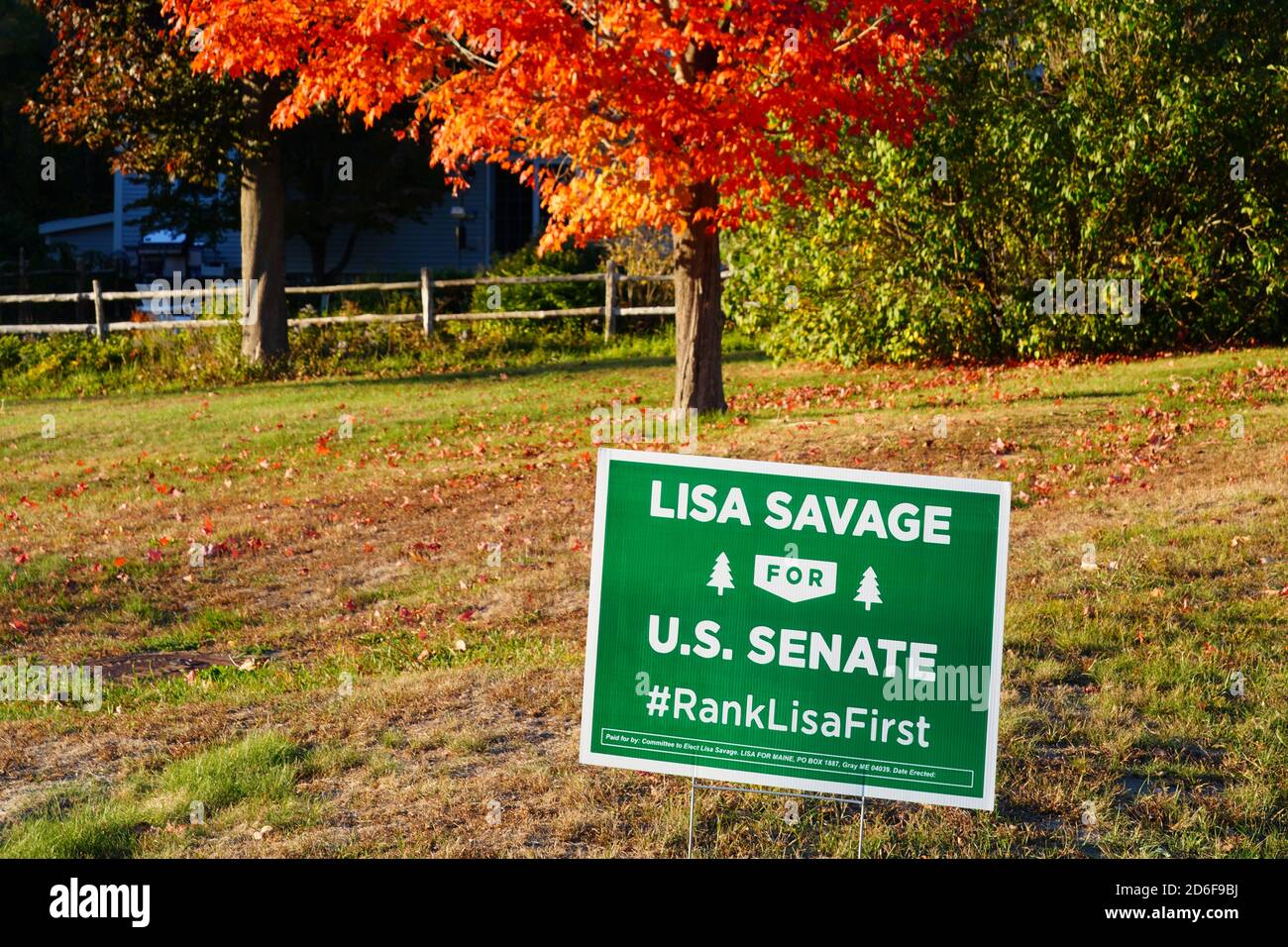 PORTLAND, ME -9 OTT 2020- Vista di un Lisa Savage per il cartello del Senato degli Stati Uniti durante la campagna 2020 a Portland, Maine, Stati Uniti. Foto Stock