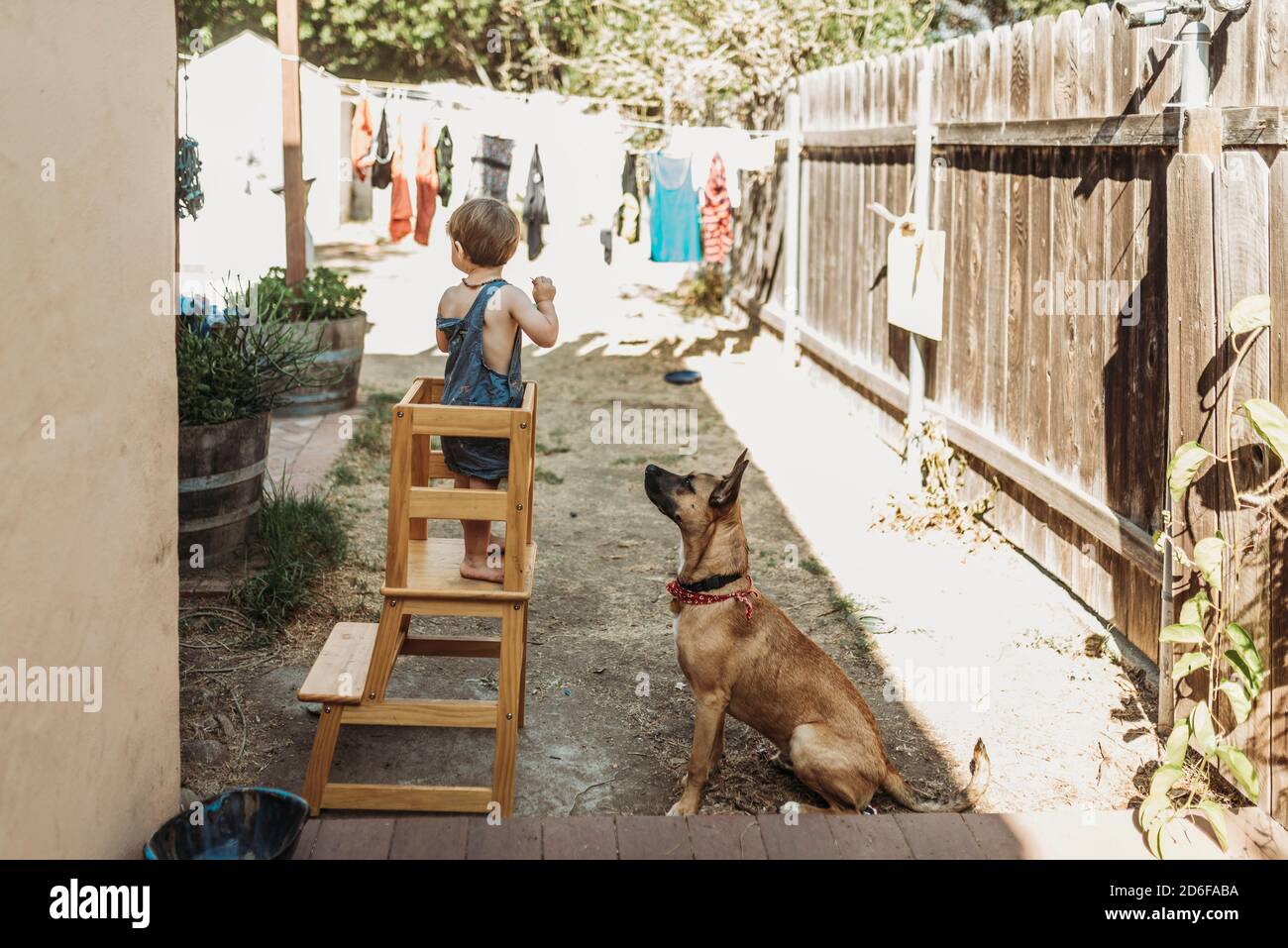 Il bambino piccolo e il cucciolo giocano insieme all'esterno in cortile Foto Stock