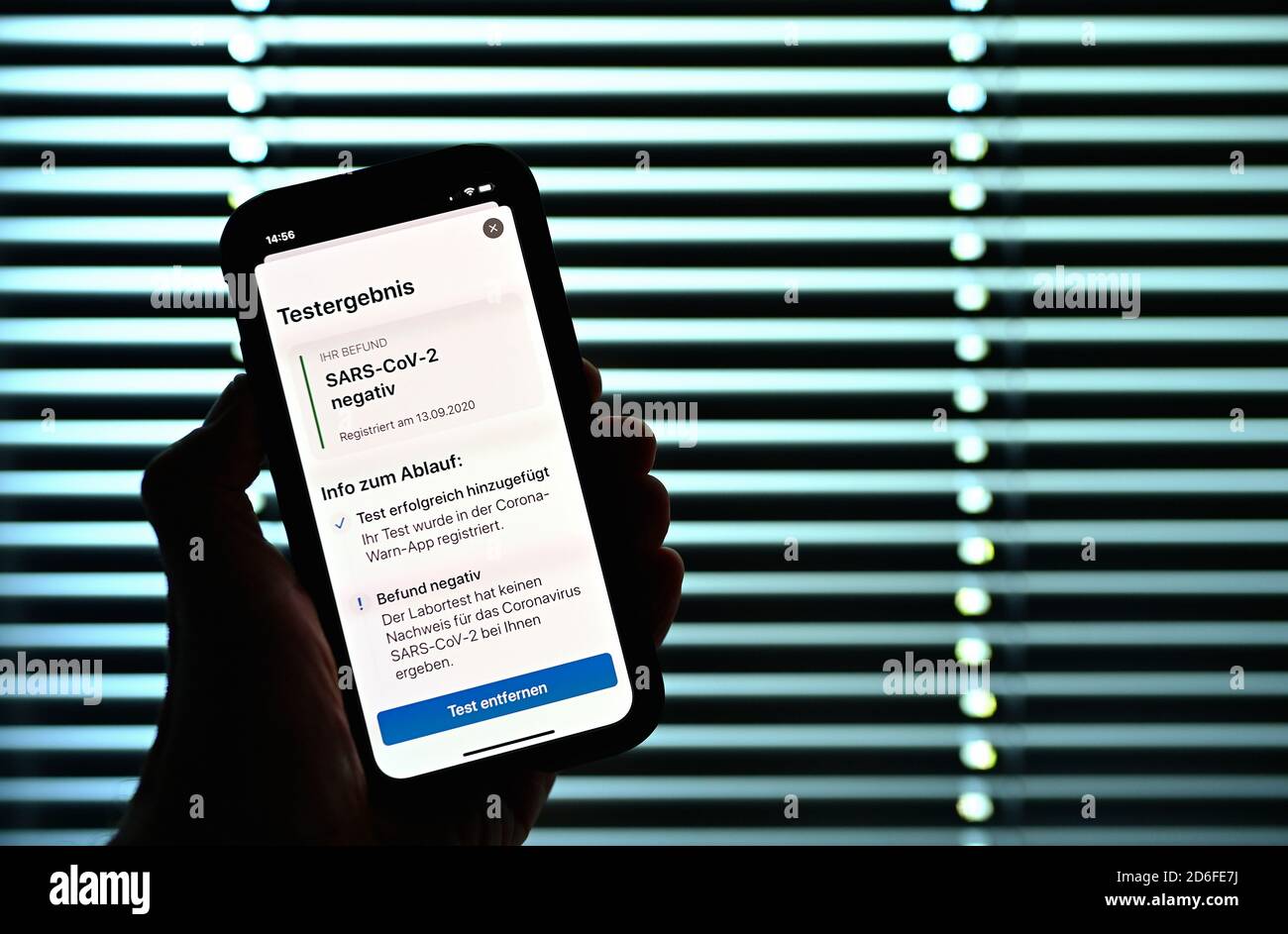 Risultato negativo del test, palmare con APPLICAZIONE di avvertimento Corona, Corona Crisis, Stoccarda, Baden-Württemberg, Germania Foto Stock