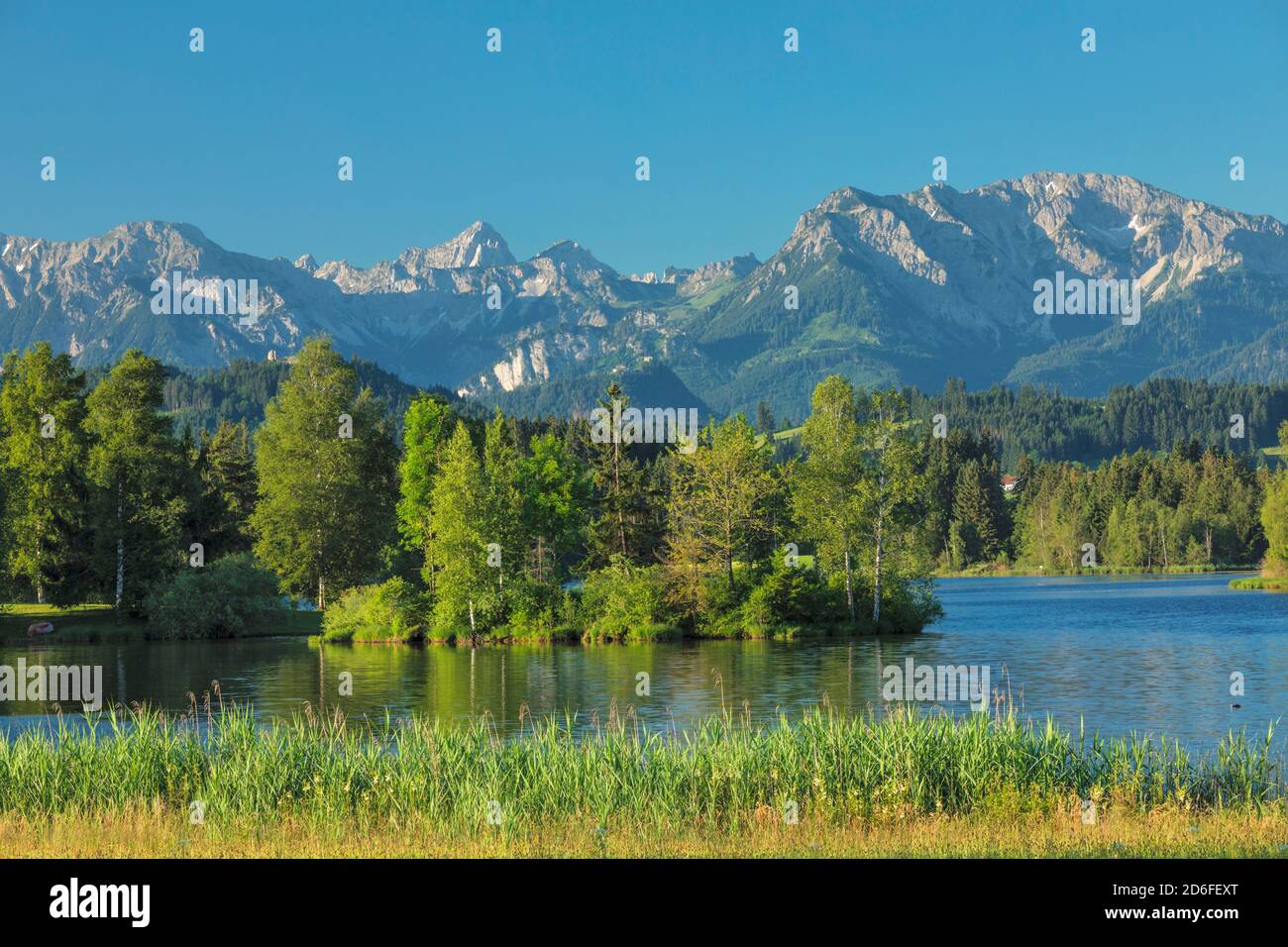 Schwaltenweiher, Tannheimer Berge, Alpi di Allgäu, Ostallgäu, Baviera, Germania Foto Stock