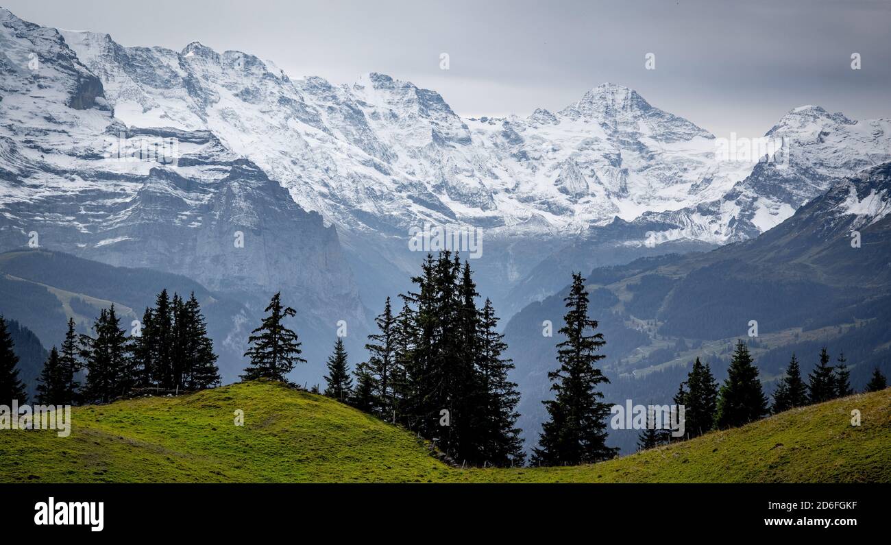 Splendida vista panoramica sulle Alpi svizzere - vista da Schynige Platte montagna Foto Stock
