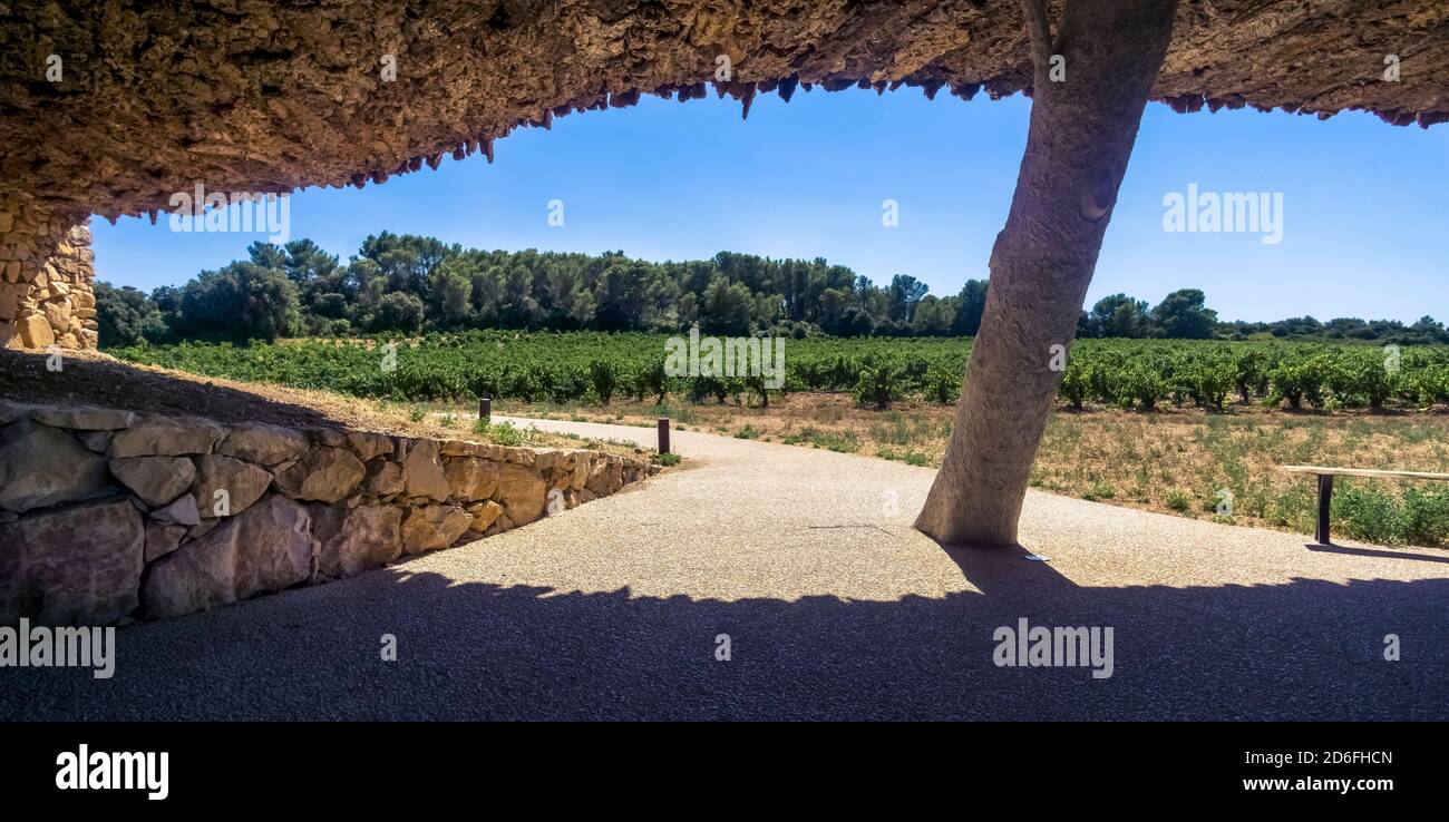 Cantina Domaine Castigno ad Assignan in estate. Ha la forma di una bottiglia e le pareti esterne sono ricoperte di sughero. Foto Stock