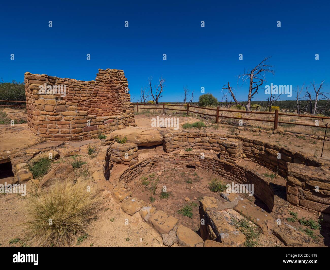 Cedar Tree Tower, Mesa Verde National Park, Mancos, Colorado. Foto Stock