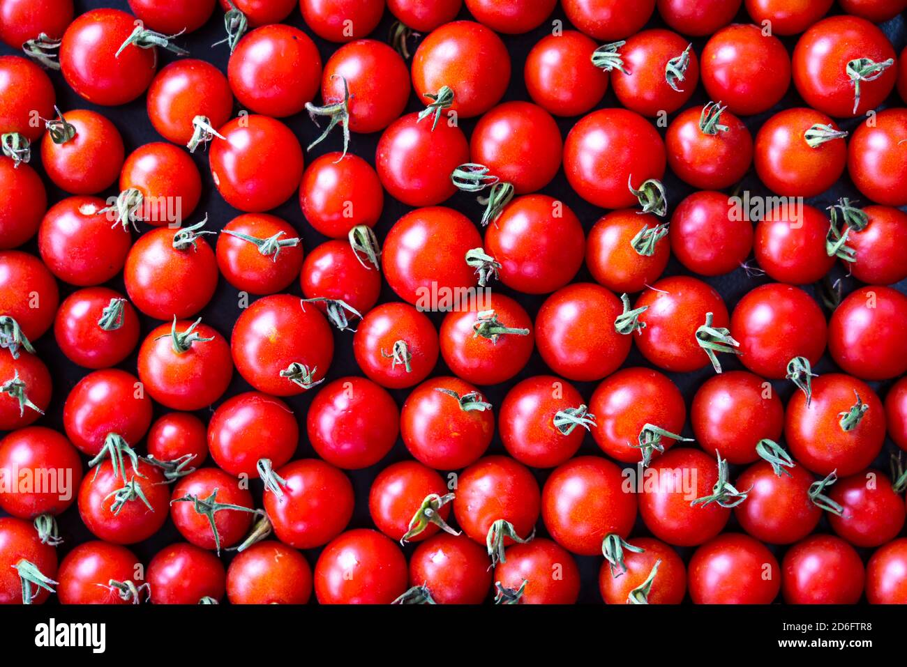 Primo piano di un vassoio di pomodori ciliegini maturi da un giardino a Winkler, Manitoba, Canada. Foto Stock