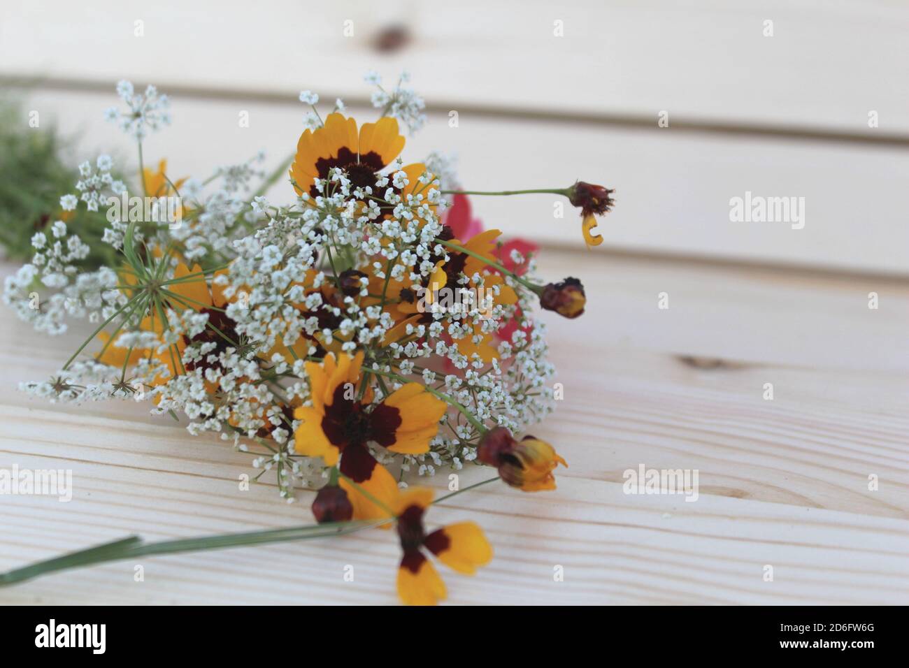 Bouquet di fiori selvatici Foto Stock