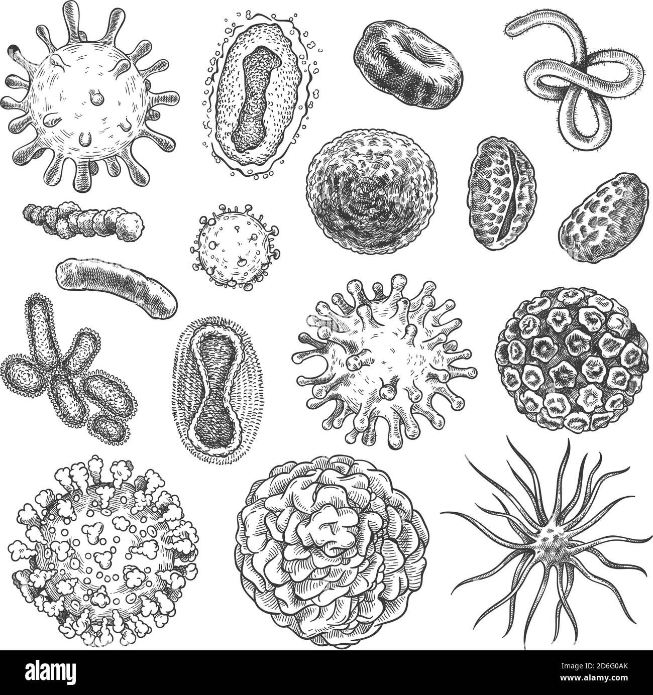 Virus di schizzo. Batteri, coronavirus germe biologia microelementi organici. Virus Covid-19, cellule tumorali insieme di vettori di incisione disegnati a mano Illustrazione Vettoriale
