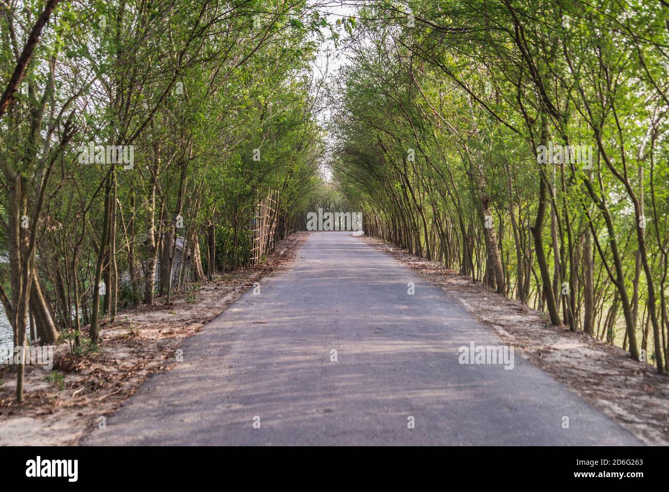 Chalna Batiaghata Road, Khulna, Bangladesh. Foto Stock