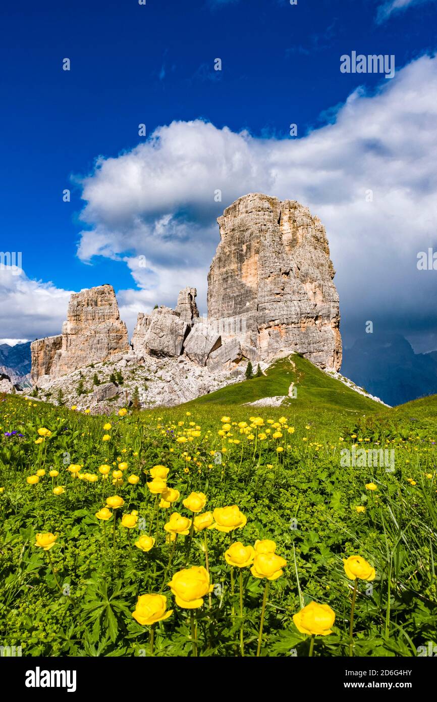 La formazione rocciosa delle cinque Torri, cinque Torri di Averau, circondata da fiori gialli in fiore. Foto Stock