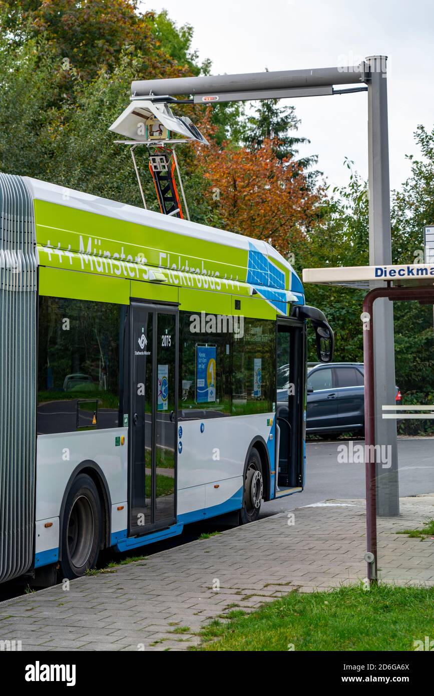 Autobus elettrico di Stadtwerke Münster, ad una stazione di ricarica veloce, fermata dell'autobus, punto di svolta Dieckmannstrasse in Münster Gievenbeck, 16 corrente e-bus Foto Stock