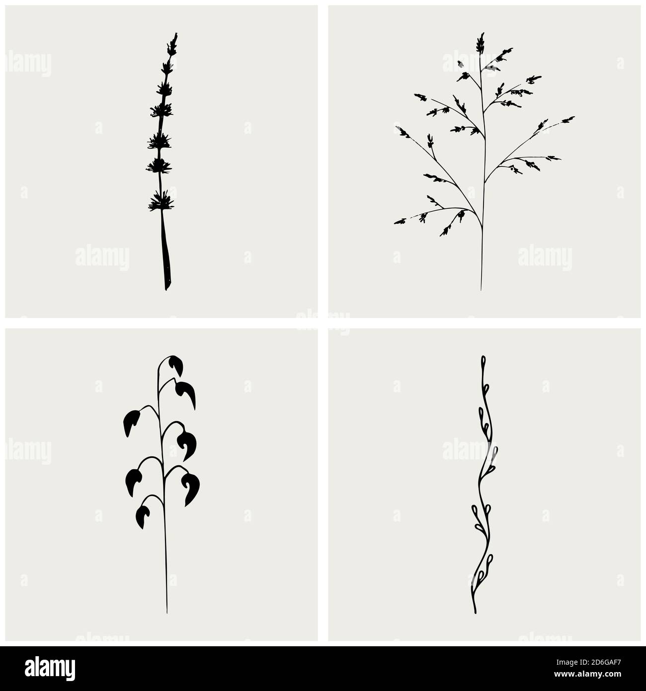 Raccolta di erbe. Set di foglie naturali line art. Illustrazione semplice ed elegante disegnata a mano. Elementi floreali vintage. Illustrazione vettoriale Illustrazione Vettoriale
