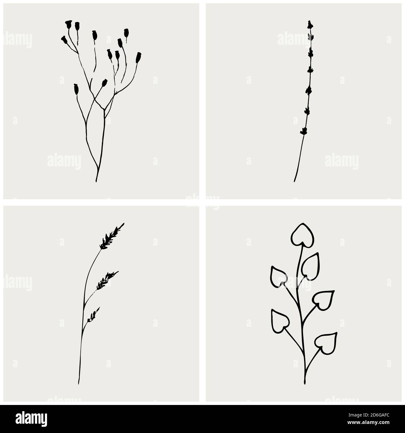 Raccolta di erbe. Schizzo floreale. Collezione di erbe e piante cosmetiche disegnate a mano da Vector. Illustrazione semplice ed elegante disegnata a mano. Illustrazione vettoriale Illustrazione Vettoriale