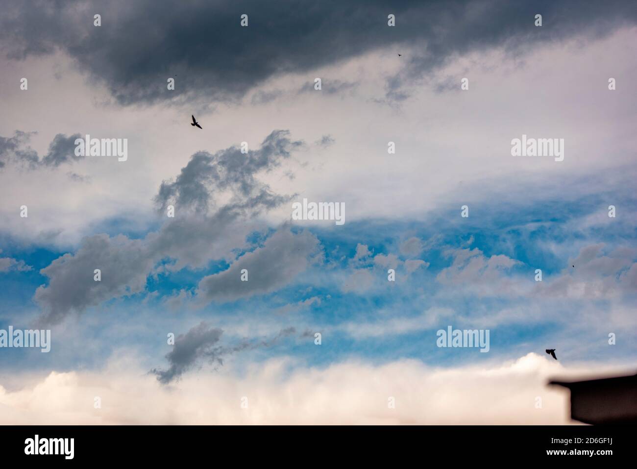 Uccelli in volo in un cielo nuvoloso Foto Stock