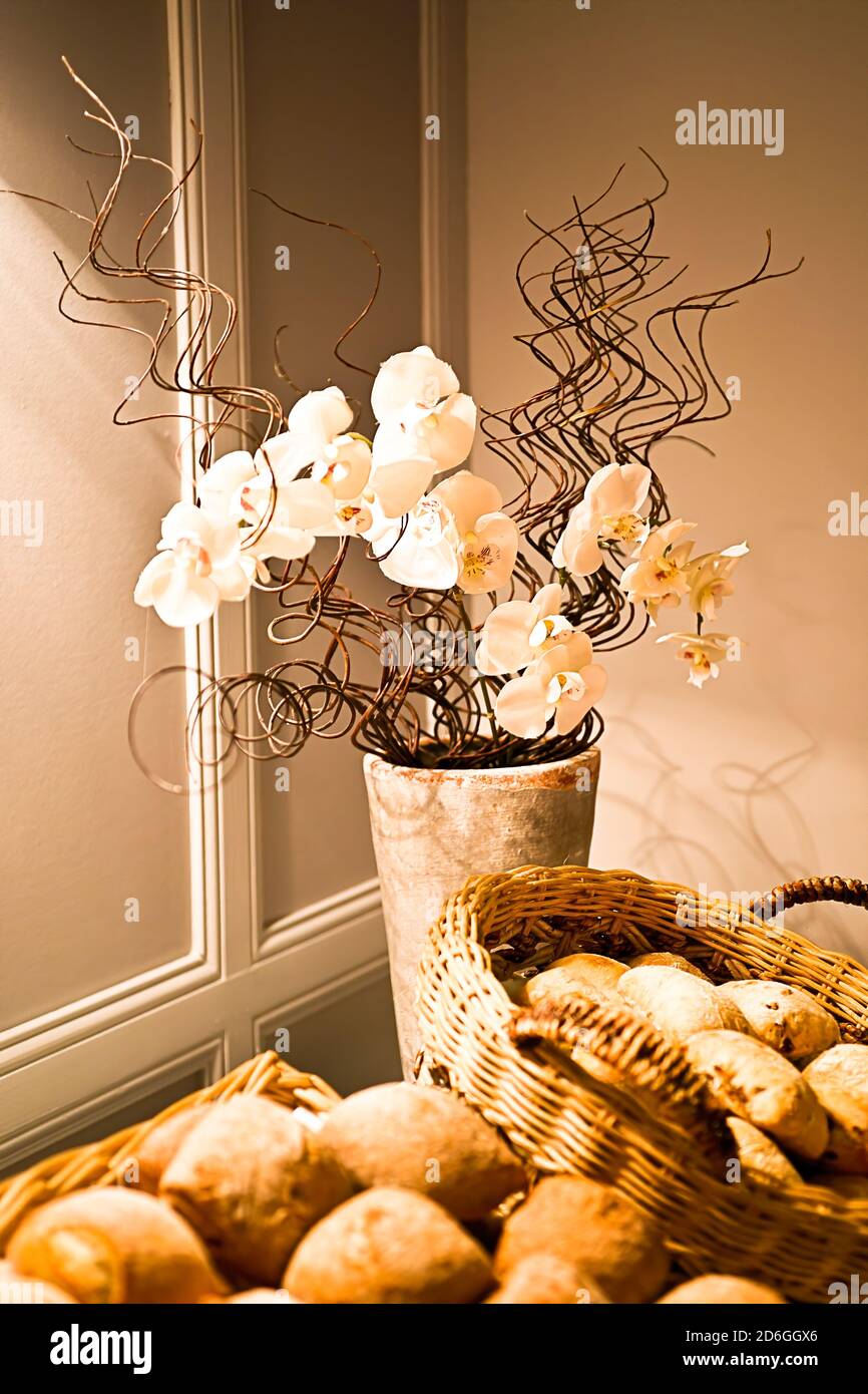 Orchidea bianca in una vecchia pentola di terracotta e cestini di Pane francese Foto Stock