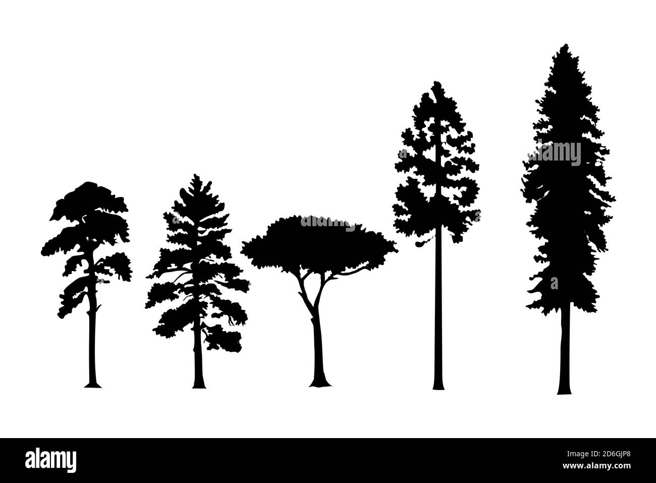 Varietà di pinete vettoriali silhouette isolate su sfondo bianco. Può essere utilizzato come sorgente di pennelli digitali. Vettore. Illustrazione Vettoriale