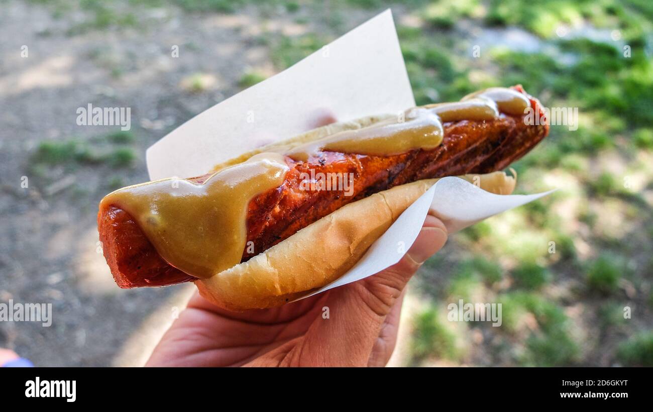 Hhand holding swedish hotdog, « korv med bröd » Foto Stock