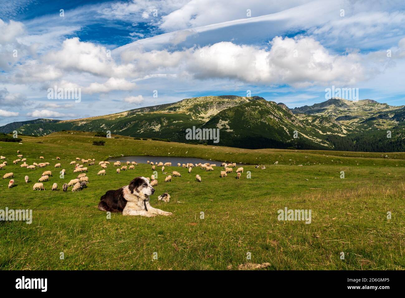 Saua Plaiul Mic in montagna Retezat in Romania con alimentare negozio, capanna, piccolo lago e picchi più alti sullo sfondo Foto Stock