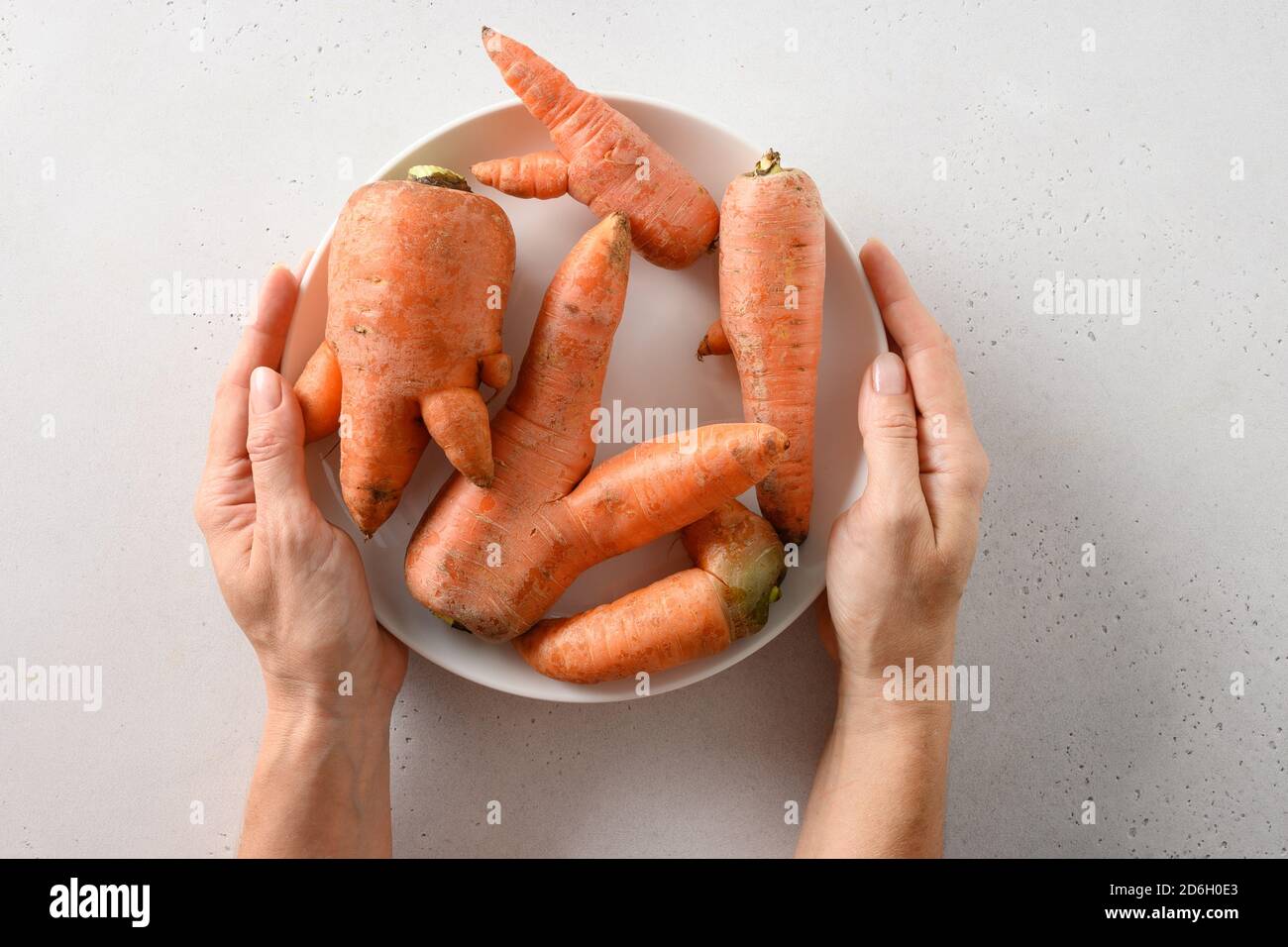 Anormale carote organiche brutto in piastra in donne mano su tavola bianca. Verdure locali naturali forma strana. Foto Stock