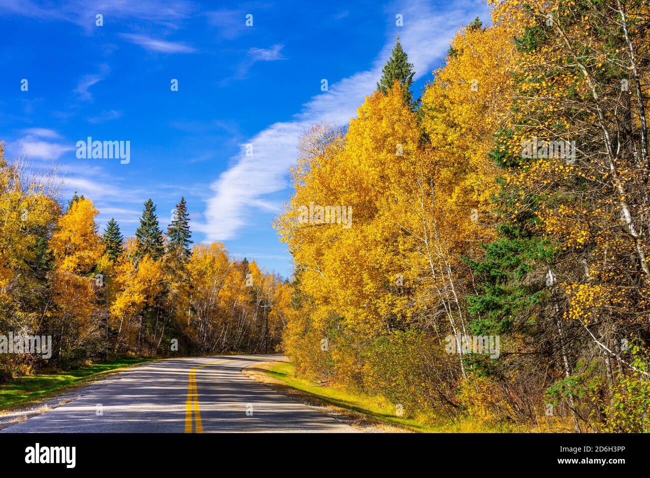 Una strada panoramica con colori autunnali che attraversano il resort di Buffalo Point, Manitoba, Canada. Foto Stock Una strada panoramica con colori autunnali che attraversano il resort di Buffalo Point, Manitoba, Canada. Foto Stock
