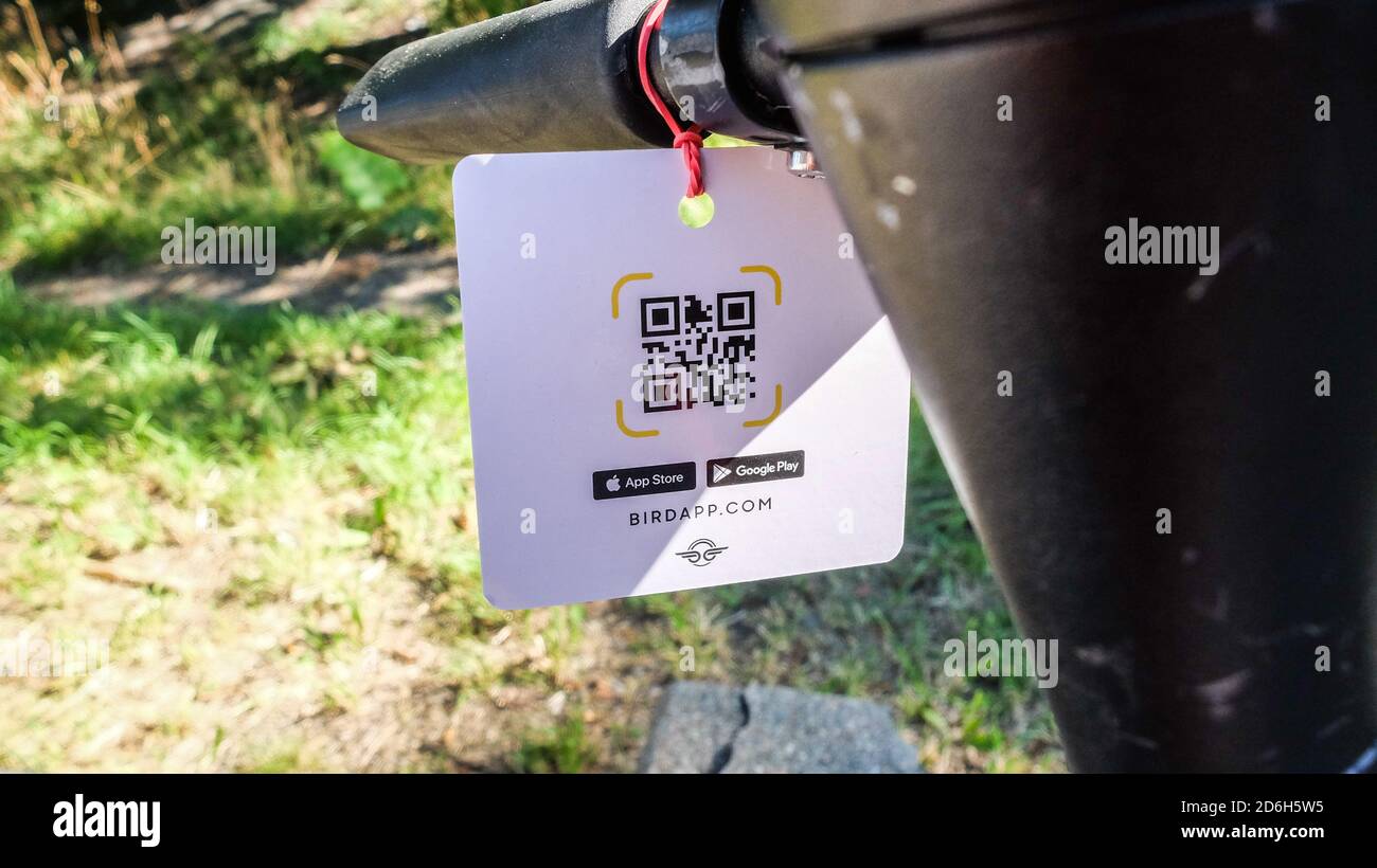 Scooter elettronico, carta e-bike per uccelli con codice QR per la scansione Foto Stock