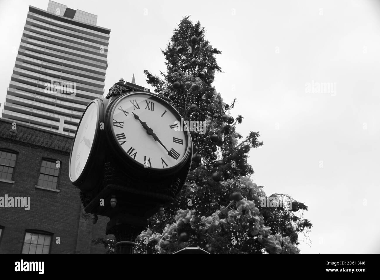 Distilleria Orologio Distretto di fronte all'albero di Natale Foto Stock