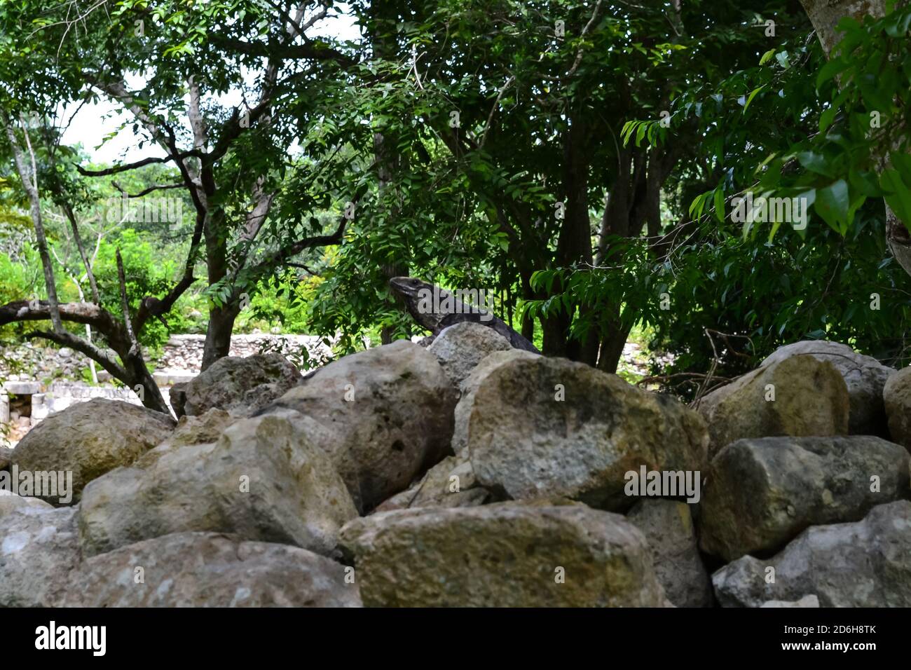 Riviera Maya, cultura, arte e tradizioni racchiuse in una splendida terra. Messico. Foto Stock