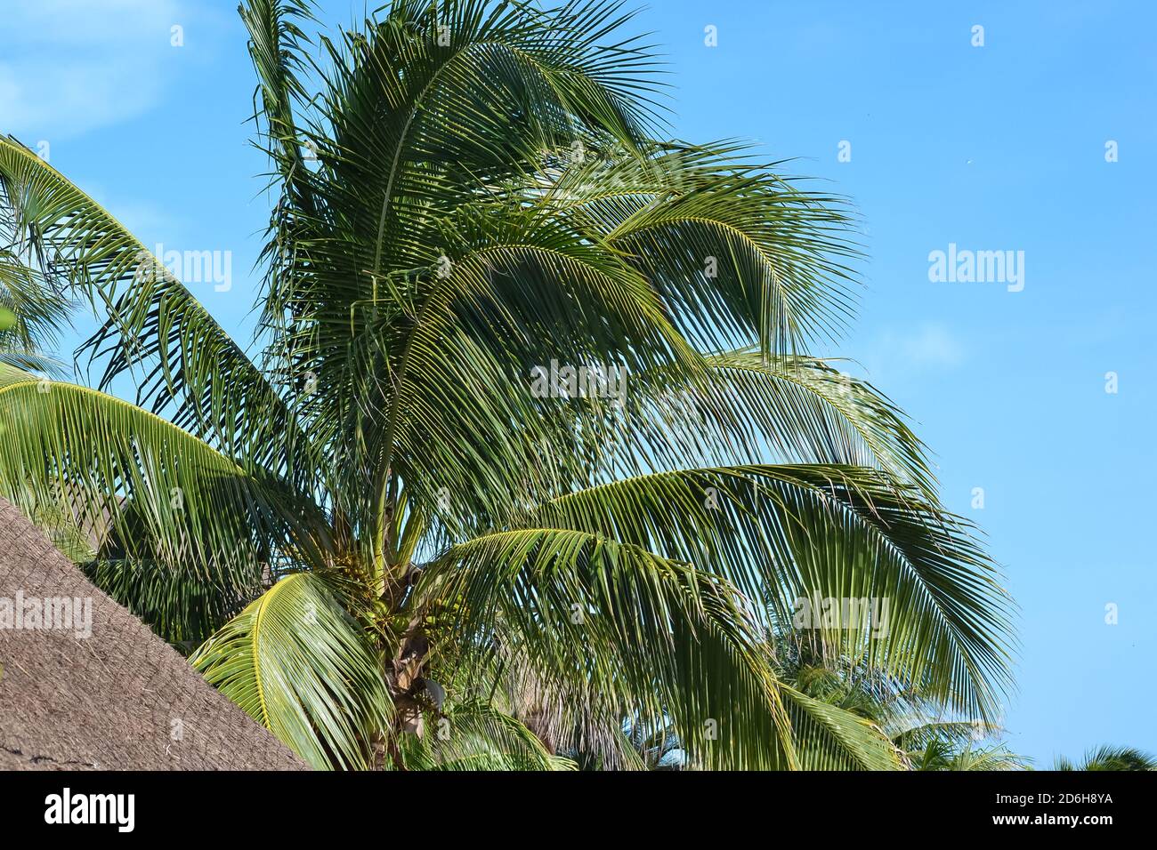 Riviera Maya, cultura, arte e tradizioni racchiuse in una splendida terra. Messico. Foto Stock