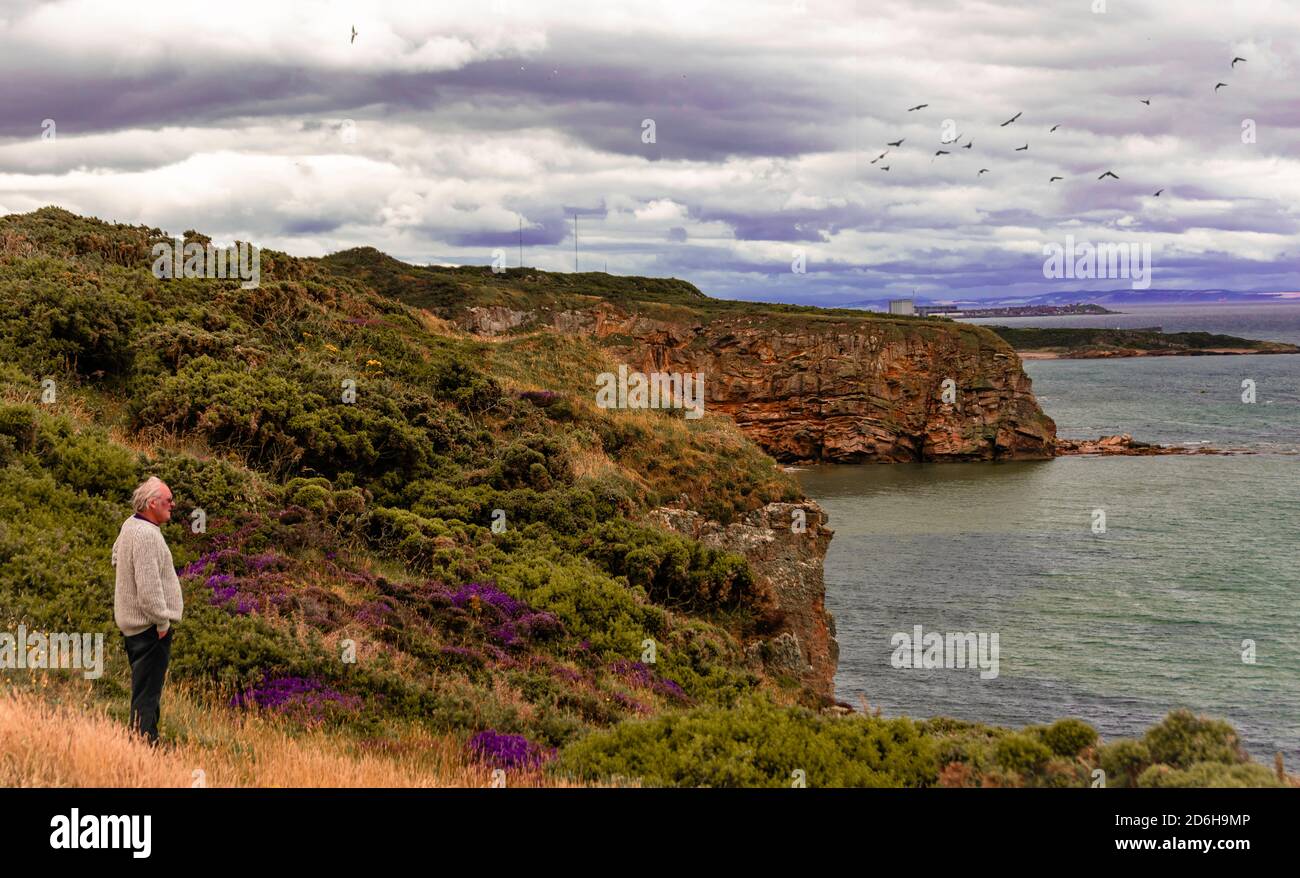 Si affaccia sul Moray firth, ammirando la bellezza. Foto Stock