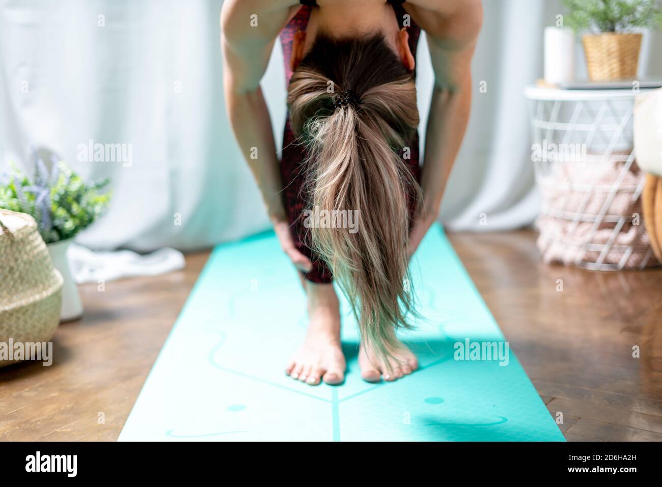 Primo piano giovane donna sportiva attraente che pratica yoga, in piedi avanti piega esercizio, testa a ginocchia, uttanasana posa, allenarsi a casa in vita Foto Stock