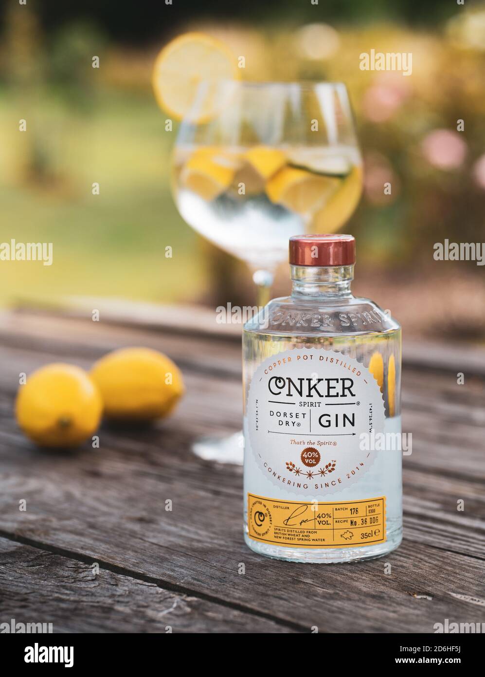 Grande bicchiere di gin e bevande toniche contenente ghiaccio e limone con bottiglia Conker Dorset Dry Gin con cespugli di lavanda al sole estivo sul tavolo Foto Stock