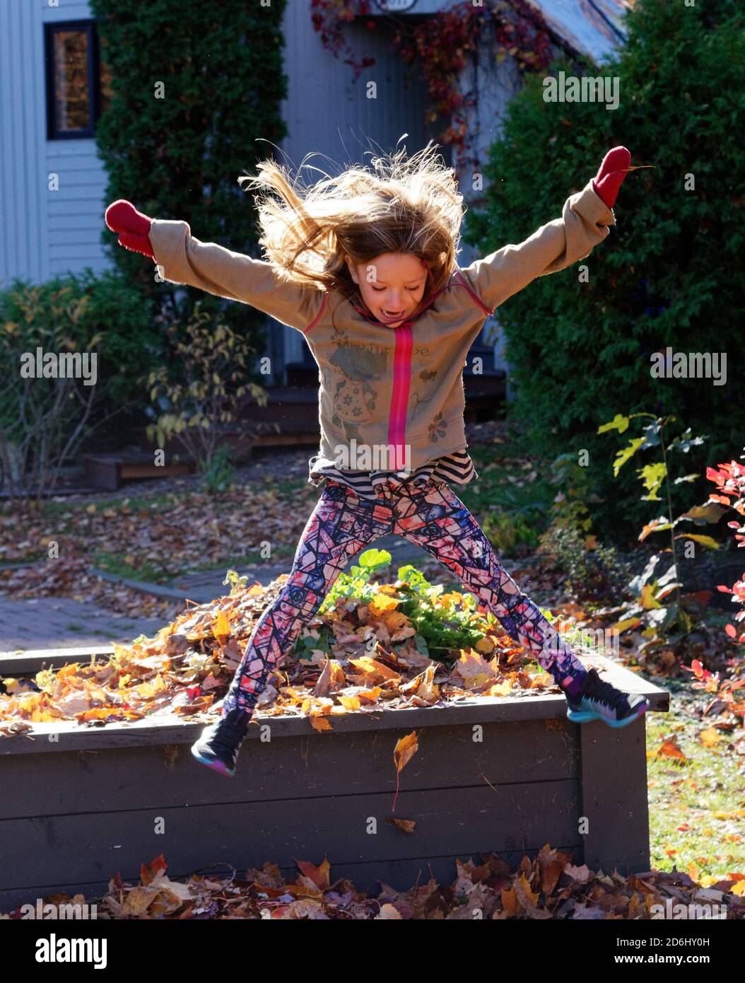 Una ragazza di sei anni che fa un salto di stella dentro un mucchio di foglie d'autunno Foto Stock
