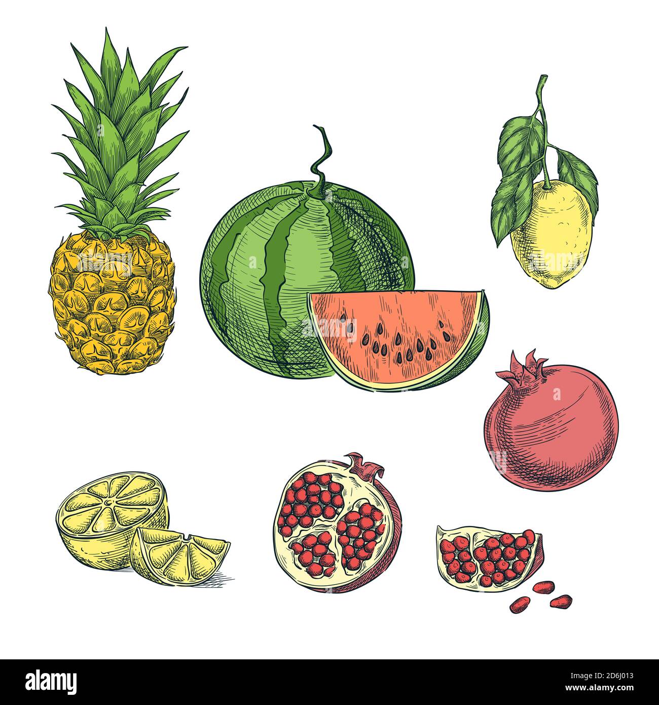Illustrazione vettoriale dello schizzo di frutti tropicali colorati. Ananas, limone, anguria, melograno elementi di design isolati disegnati a mano. Illustrazione Vettoriale