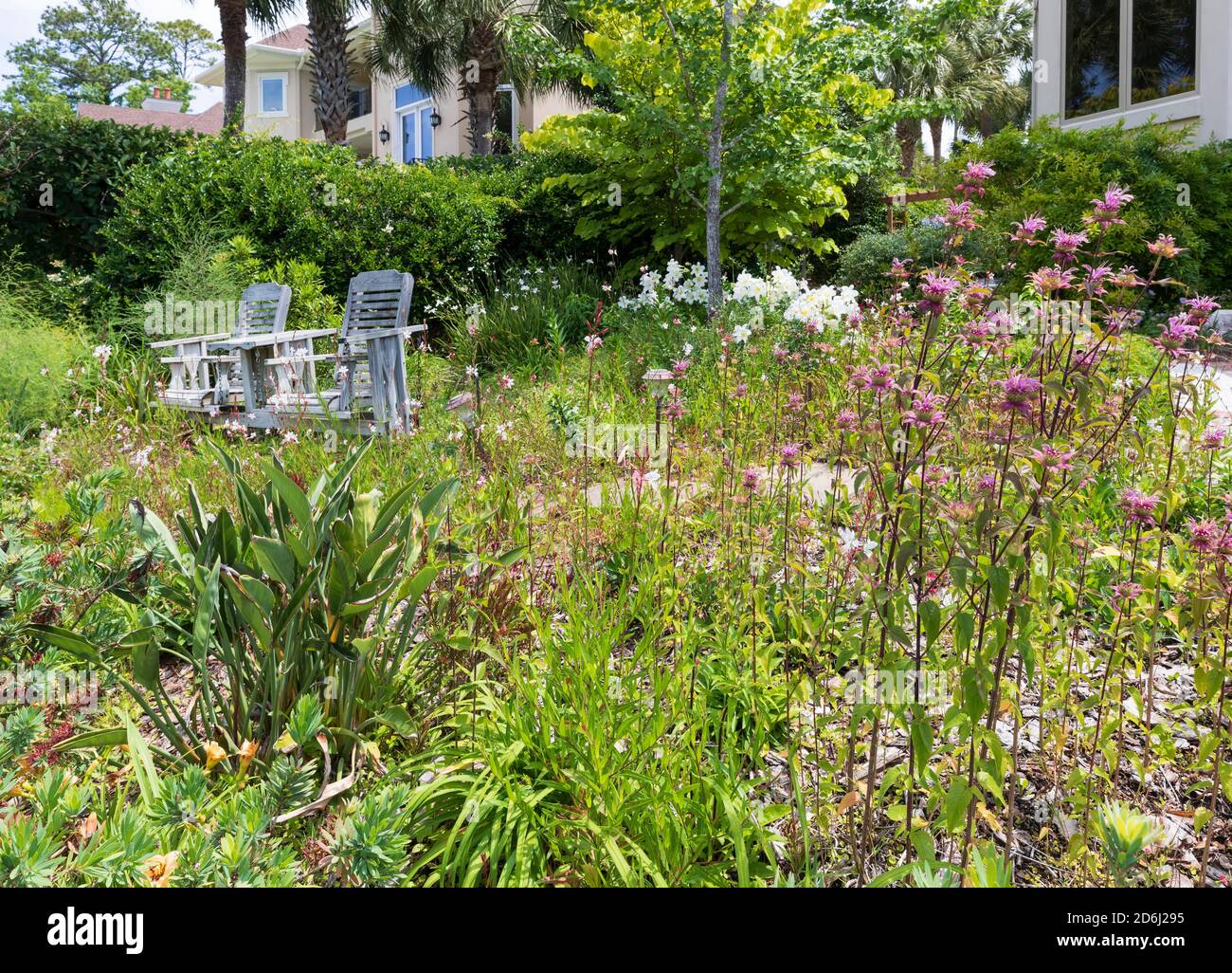 Un giardino del South Carolina nel mese di maggio. Balsamo d'api e pennello da fondo con uno sfondo di gigli tromba bianchi sotto un albero di gingko con una panca swing giardino. Foto Stock
