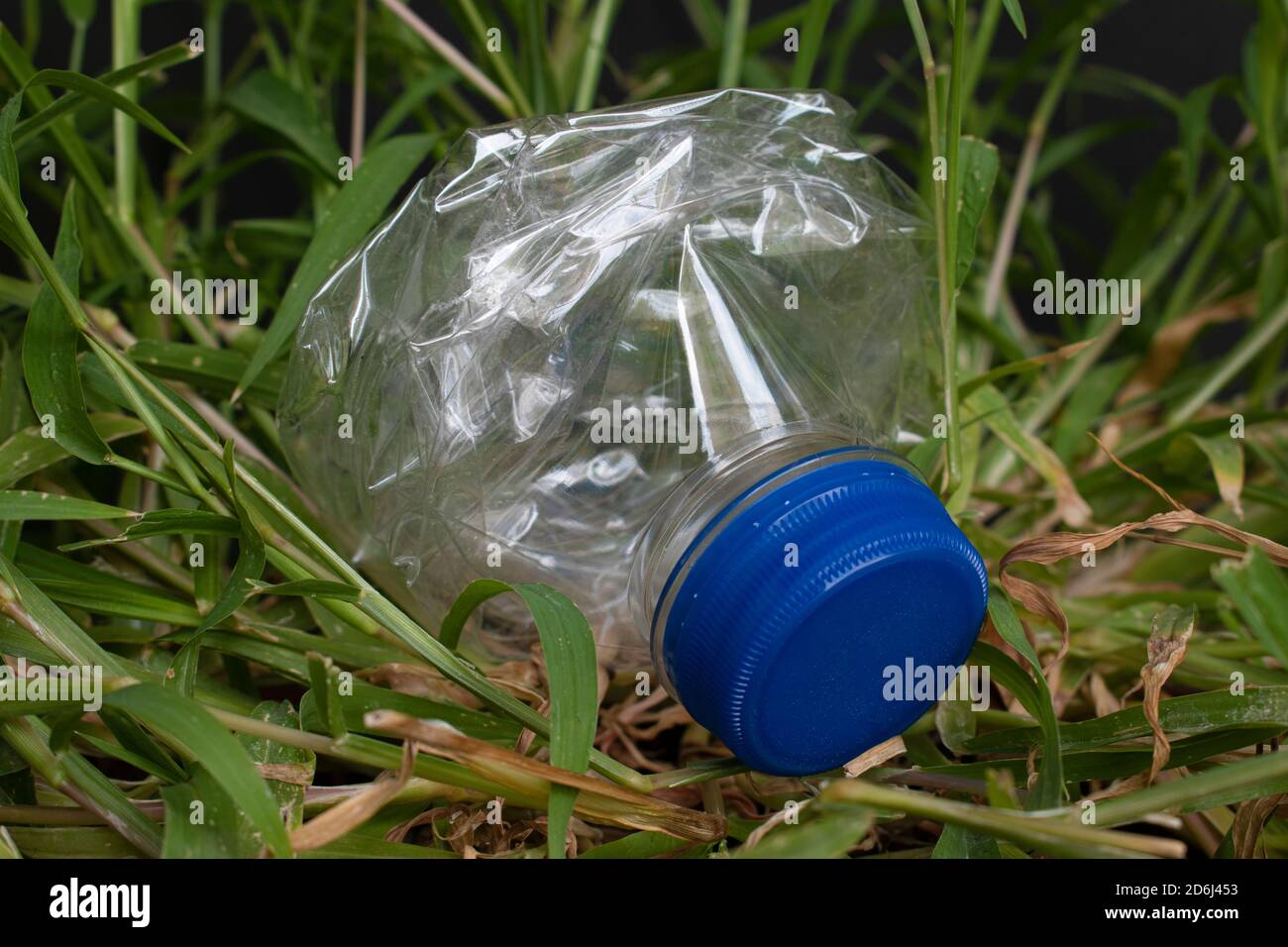 Bottiglia d'acqua di plastica schiacciata nell'erba. Concetto di inquinamento ambientale. Foto Stock