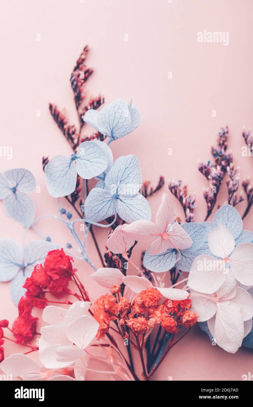 Confetti biodegradabili da veri fiori secchi Foto Stock
